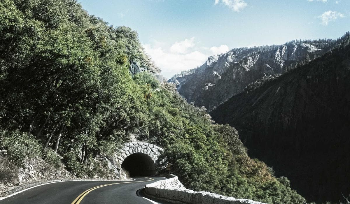 交付现场与成果展示