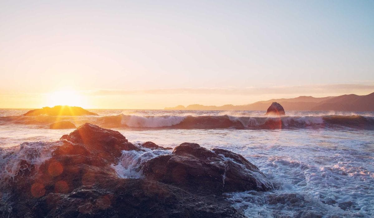 交付现场与成果展示