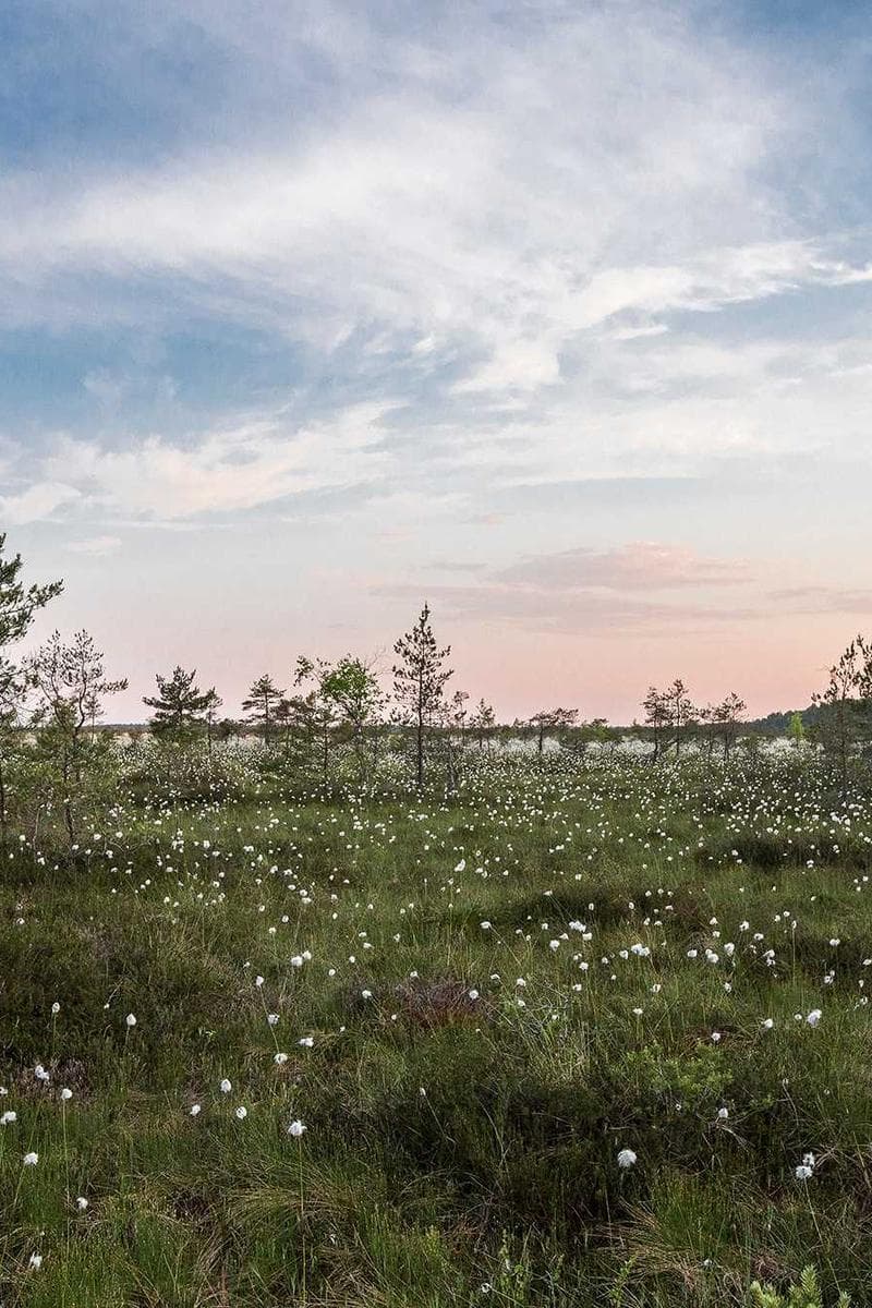 场景与能力展示